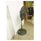 Black Lasko Pedestal Fan