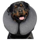 MIDOG Inflatable Dog Cone, Soft Donut Recovery Collar Alternative After Surgery to Help Prevent Licking, Comfy E Collar with Neck Pillow Design, Grey, XL