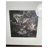 Framed Black and White Botanical Print