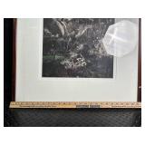 Framed Black and White Botanical Print