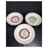 Recipe Stoneware Pie Plates (Lot of 3)