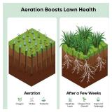 Grenebo Manual Lawn Aerator