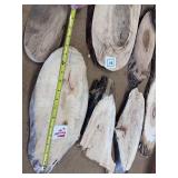 8 pc CROSSCUT LOT
