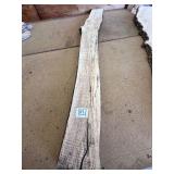 5 ft SPALTED MAPLE