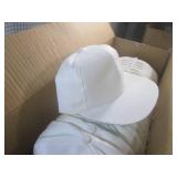 (EW3) Box of 24 New Blank Caps...