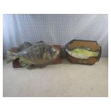 (EW5) Mounted Fish with Broken Top ...