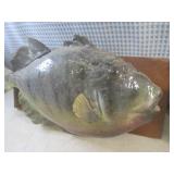 (EW5) Mounted Fish with Broken Top ...