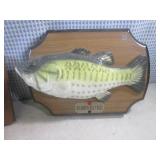 (EW5) Mounted Fish with Broken Top ...