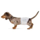 $15 Amazon Basics Leak-Proof, Super Absorbent Male Dog Diapers with Wetness Indicator, Comfortable Design, Breathable Disposable Wrap, Secure Fit, Small, 30 Count