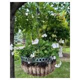 Hanging Geranium Planter in Decorative Basket