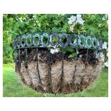 Hanging Geranium Planter in Decorative Basket