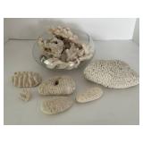 Natural Coral Decor Assortment in Glass Bowl