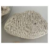 Natural Coral Decor Assortment in Glass Bowl
