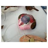Large lot of BIRD collection Items Including Birds of a Feather, Pacific Rim &Bird Ornament Mixed Lot