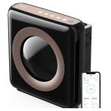 Coway AP-1512HHS Air Purifier, Alexa