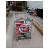 SPORTS BALLS IN MOVABLE METAL RACK