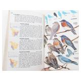 Bird Field Guide Books (Lot of 6)