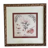 O - Les Mangues Framed Botanical Print