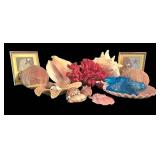 K - Shell Collection Ben Rickert Sea Urchin Pomander Coral & Shell Assortment