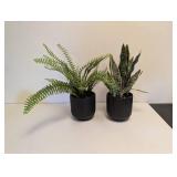 (2) ARTIFICIAL PLANT ARRANGEMENT