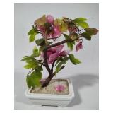 Flowering Jade Bonsai Tree