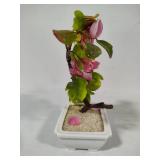 Flowering Jade Bonsai Tree