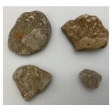 Group Of Misc. Fossil Clumps
