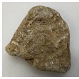 Group Of Misc. Fossil Clumps