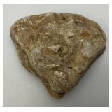 Group Of Misc. Fossil Clumps