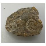 Group Of Misc. Fossil Clumps