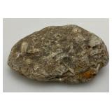 Group Of Misc. Fossil Clumps
