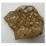 Group Of Misc. Fossil Clumps