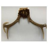Vintage 8 Point Buck Horns & Potable Ice Fishing Tip-Up (NEW In Pack)
