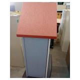 Little Free Book Library Case Display and Table.