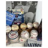 Minnesota Twins Baseball Lot