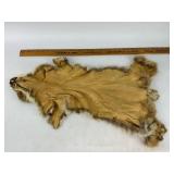 Lynx Taxidermy Fur Pelt