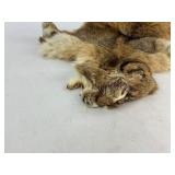 Lynx Taxidermy Fur Pelt