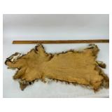 Lynx Taxidermy Fur Pelt