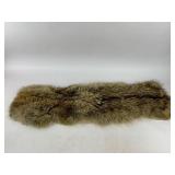 Coyote Taxidermy Fur Pelt