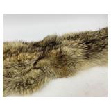 Coyote Taxidermy Fur Pelt