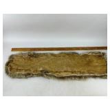 Coyote Taxidermy Fur Pelt