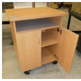 Rolling storage cabinet 30x24x38 tall
