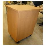 Rolling storage cabinet 30x24x38 tall