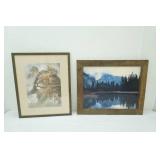 Framed Art Prints (2ct) Landscape & Lion
