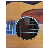 Harmony Acoustic Guitar With Kay Guitar Sounds Book & Accessories