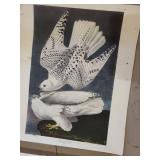 Strathmore Newsprint Pad & Assorted Bird Prints Mixed Lot