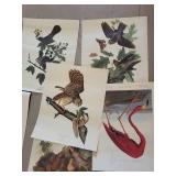 Strathmore Newsprint Pad & Assorted Bird Prints Mixed Lot
