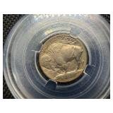 1913, 1913 and 1913 S Buffalo Nickels