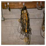 Lot of Extension Cords and Yellow Cage Work Lights