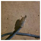 Lot of Yellow and Blue Extension Cords